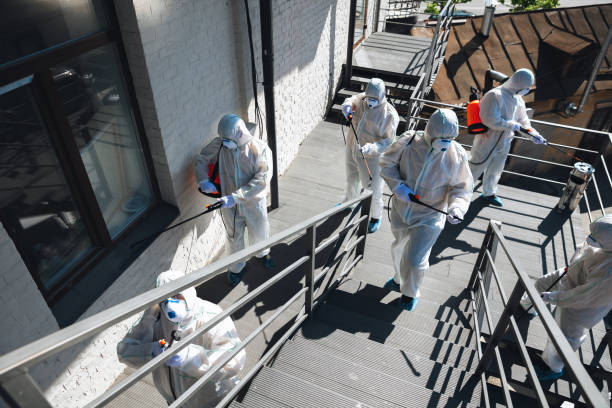 Best Residential Mold Inspection & Testing  in Cannon Af, NM