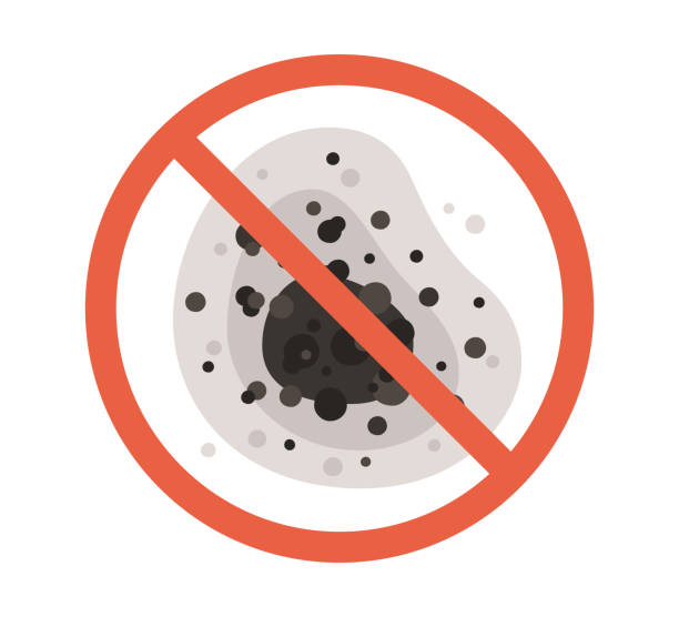 Best Mold-Related Health Consultation  in Cannon Af, NM